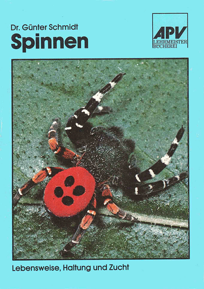 Cover Spinnen